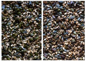 Side by side photos of the sunflower and pumpkin seeds before and after roasting